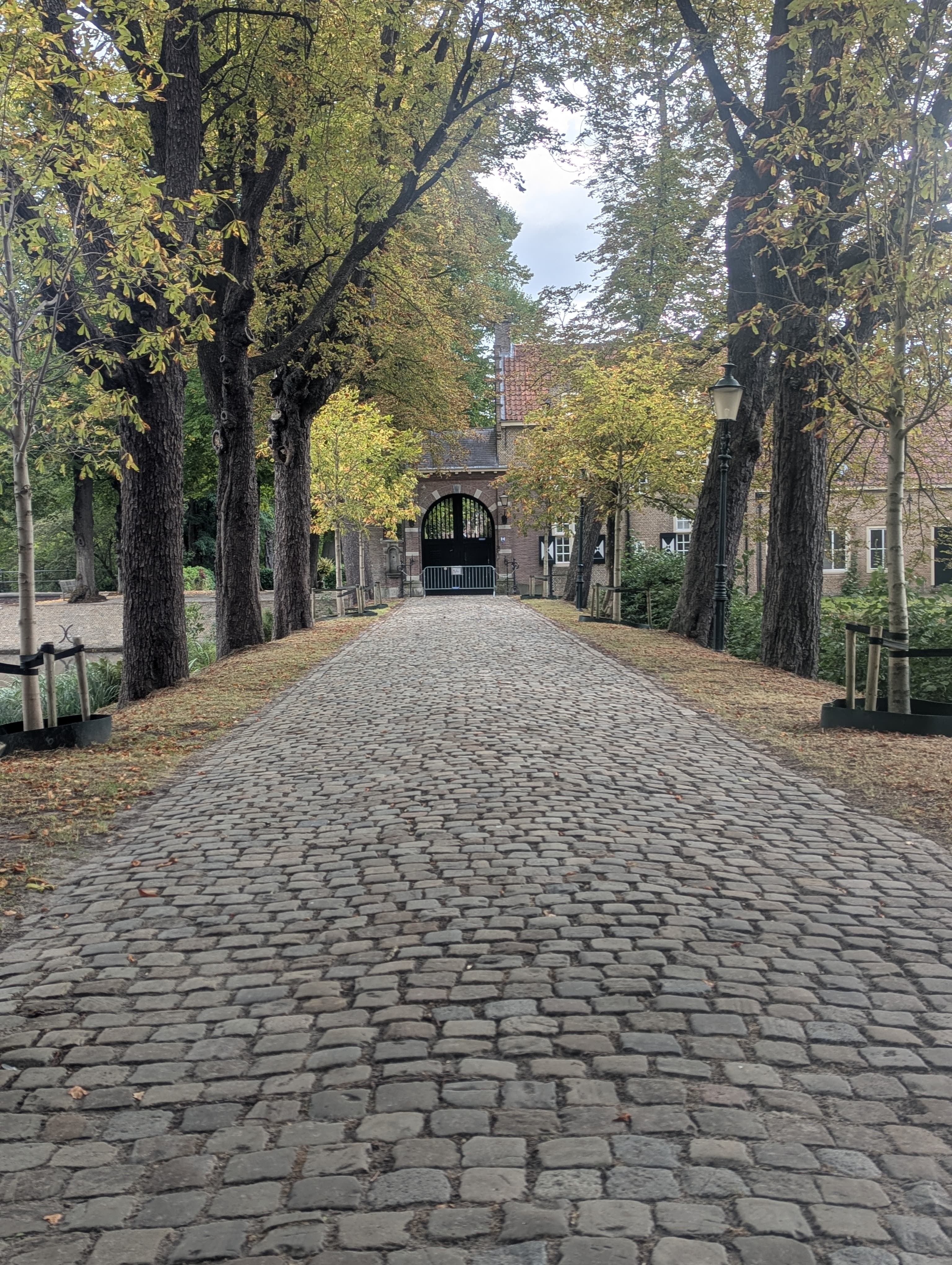 Tree-lined cobblestone path leading to estate gateway - representing the journey of digital transformation