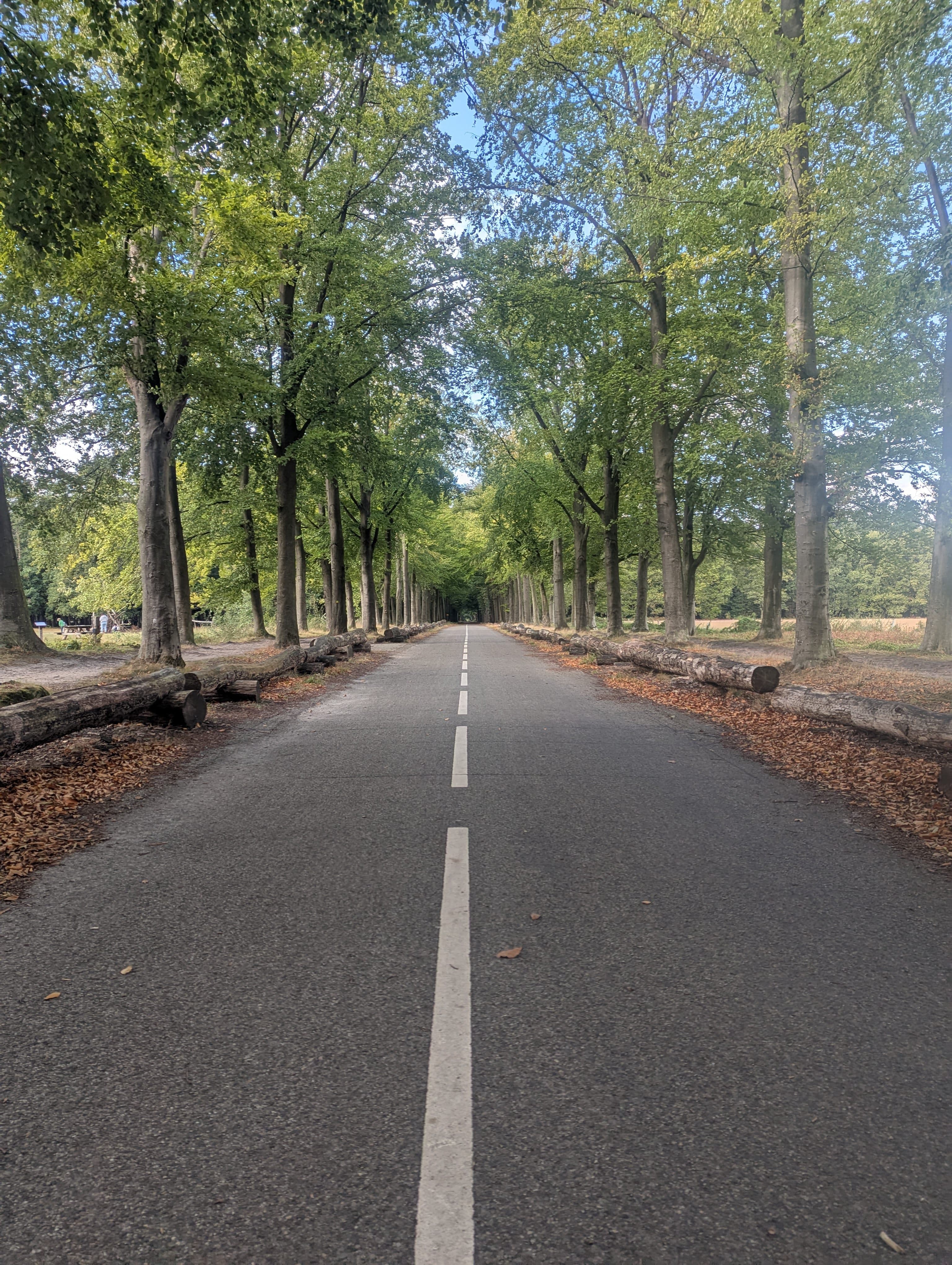 Featured article: We Built a Free MACH & AI Readiness Assessment. Here's Why.