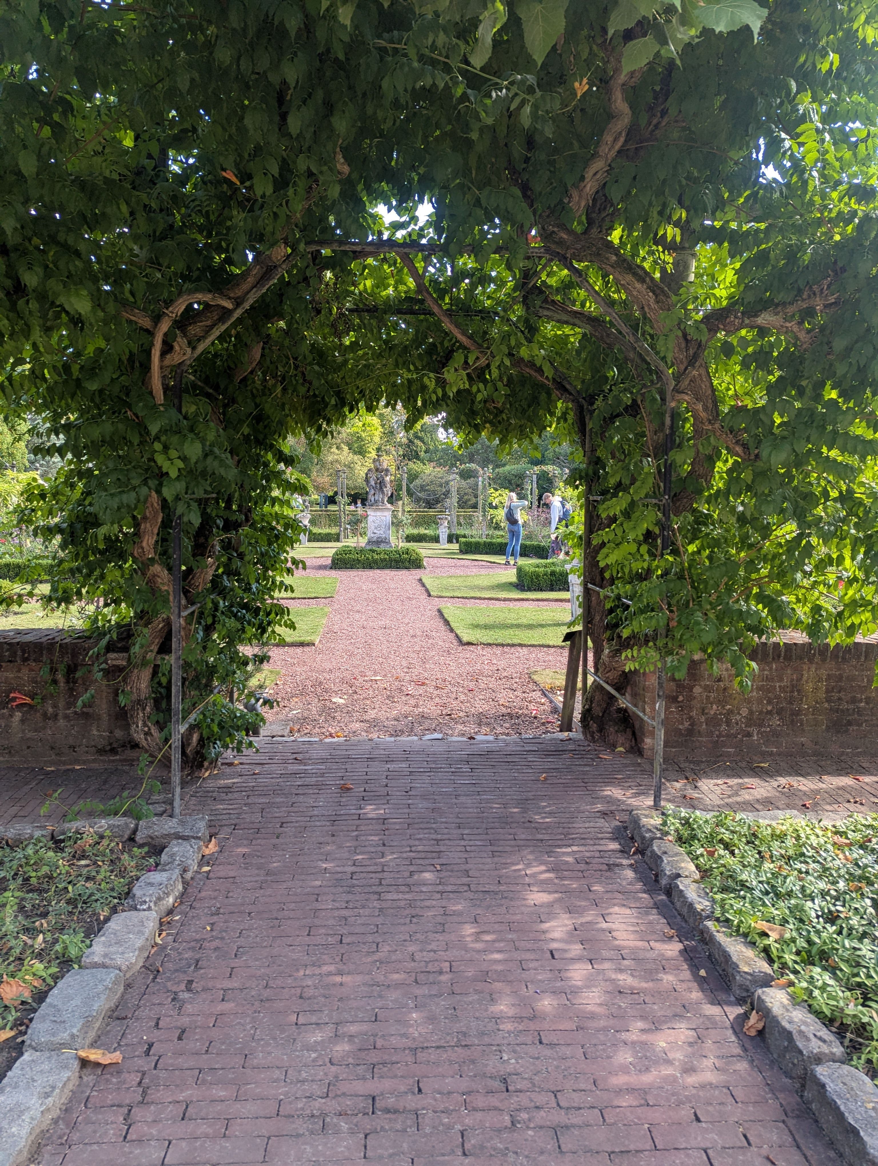 Garden pathway through vine-covered trellis - representing growth and new possibilities